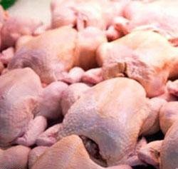 وزارت جهاد کشاورزی: با گرانفروشی مرغ برخورد می‌کنیم
